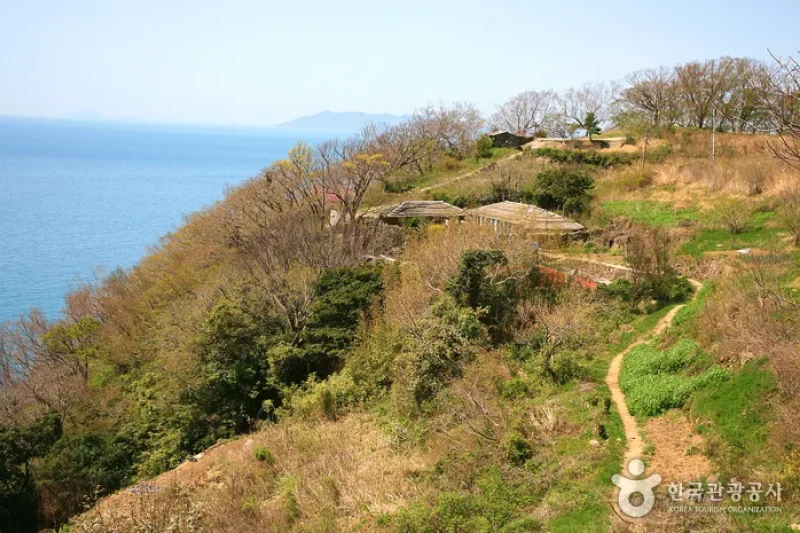 金鰲島