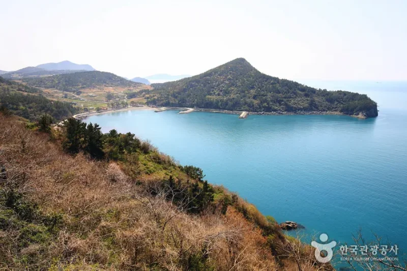 金鰲島
