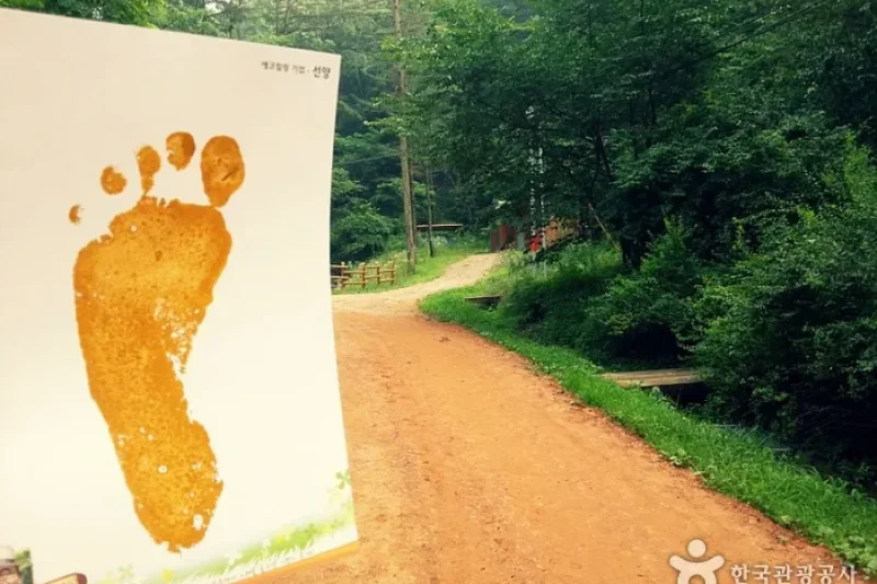 鷄足山 黃土小路 (6/15)