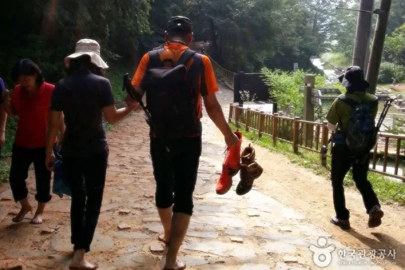 鷄足山 黃土小路 (8/15)