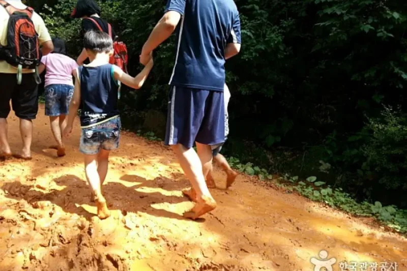 鷄足山 黃土小路 (10/15)