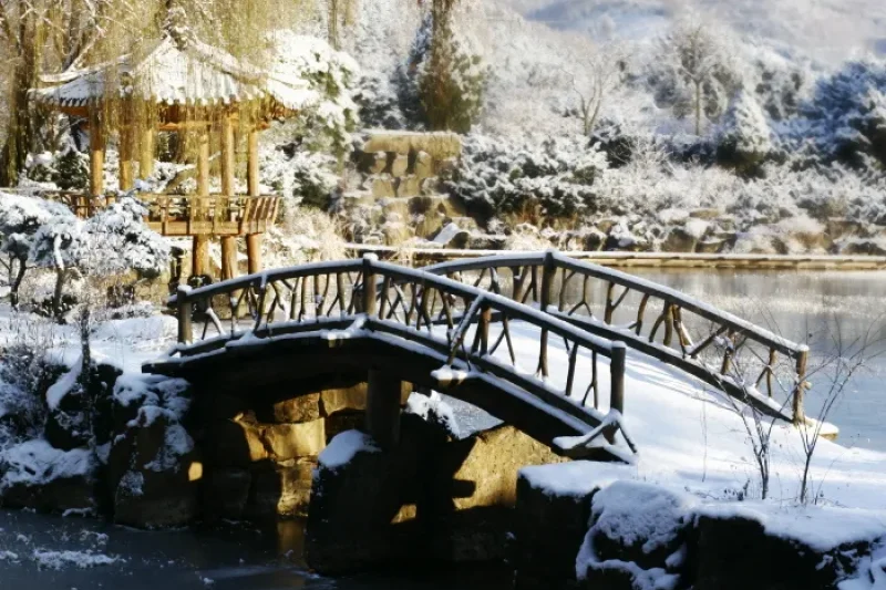 碧草池樹木園燈節