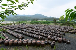 安東河回大醬村