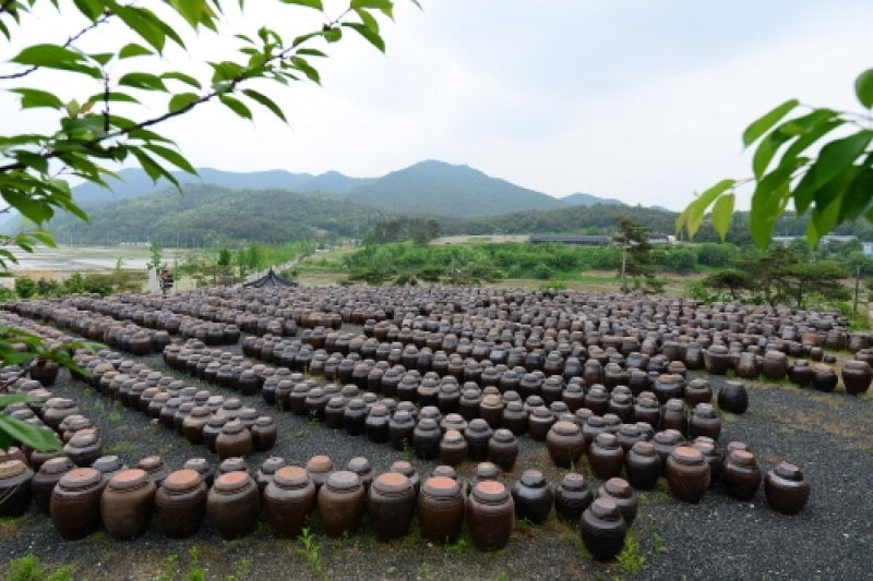 安東河回大醬村 (3/4)