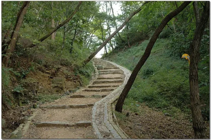 松脊路