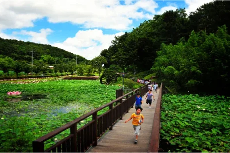 仙岩湖水公園