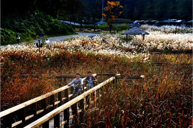 仙岩湖水公園