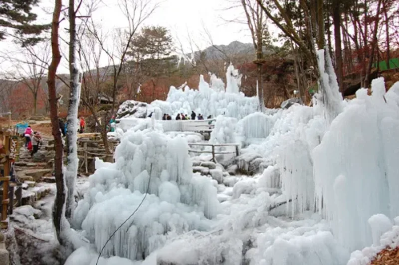 Herbhillz雪橇場 (3/3)