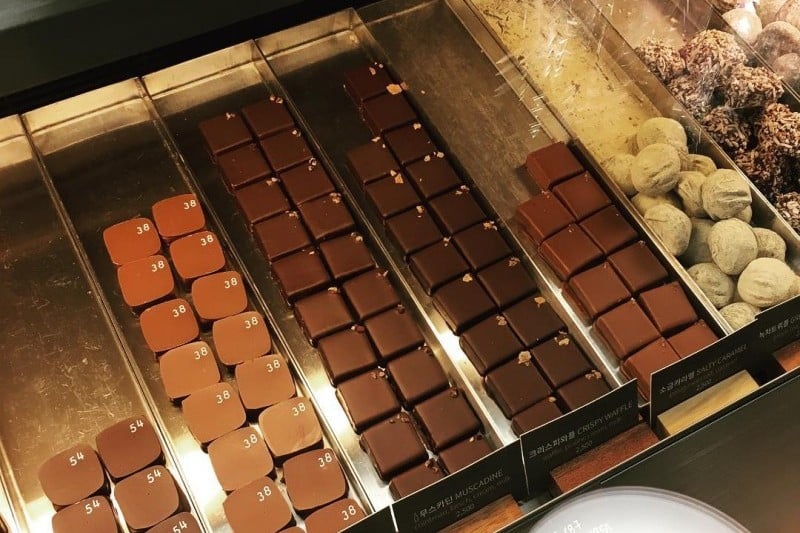 Cacaoboom (8/9)
