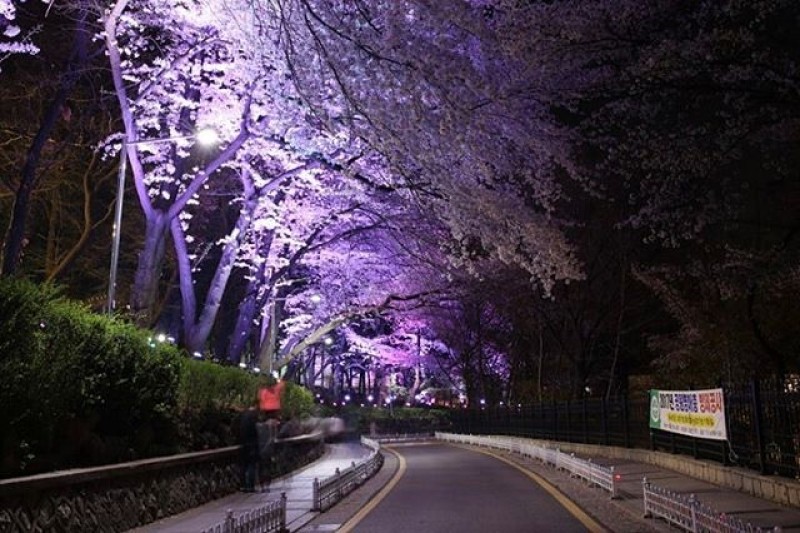 仁川中國城 (4/29)