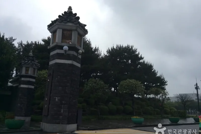 濟州Let's run Park (1/13)