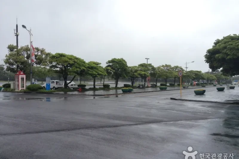 濟州Let's run Park (6/13)