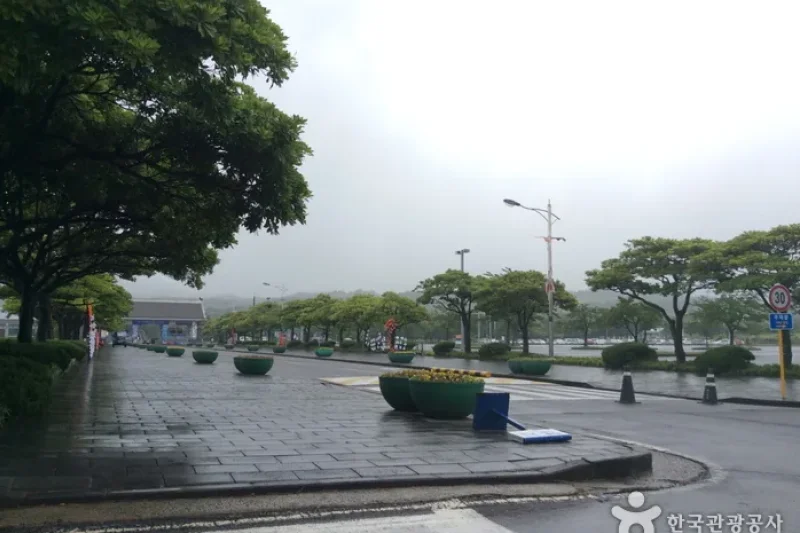 濟州Let's run Park (8/13)