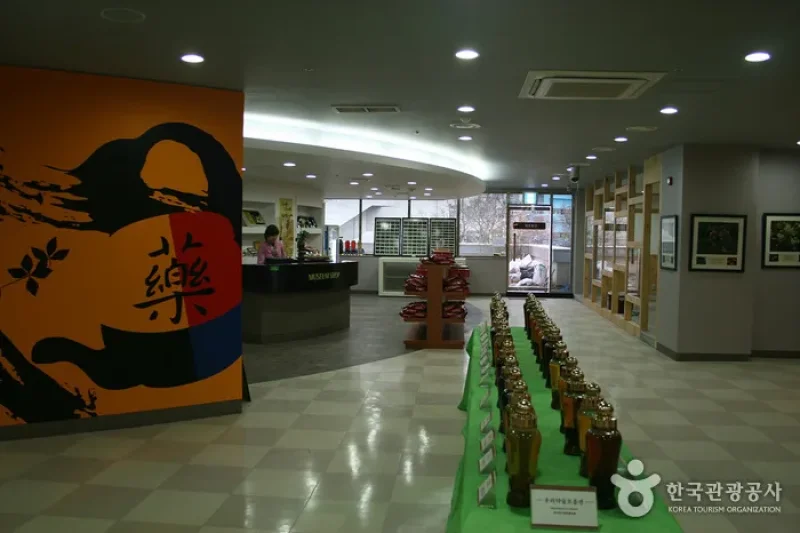 大邱藥令市韓醫藥博物館 (3/16)