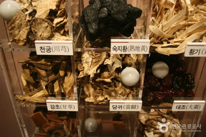 大邱藥令市韓醫藥博物館 (6/16)