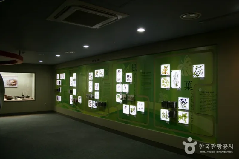 大邱藥令市韓醫藥博物館 (11/16)