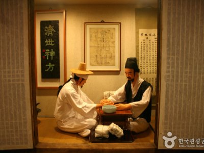 大邱藥令市韓醫藥博物館