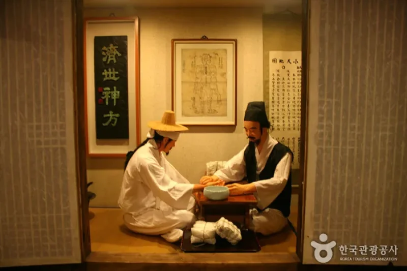 大邱藥令市韓醫藥博物館 (12/16)