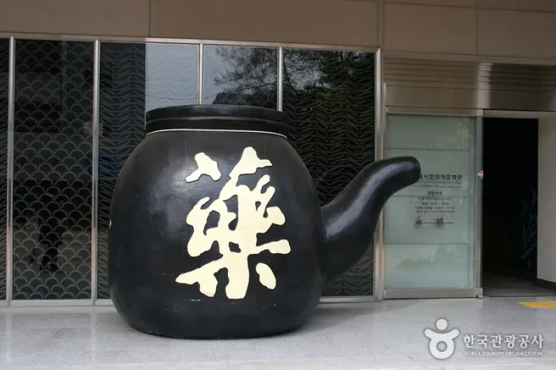 大邱藥令市韓醫藥博物館 (14/16)