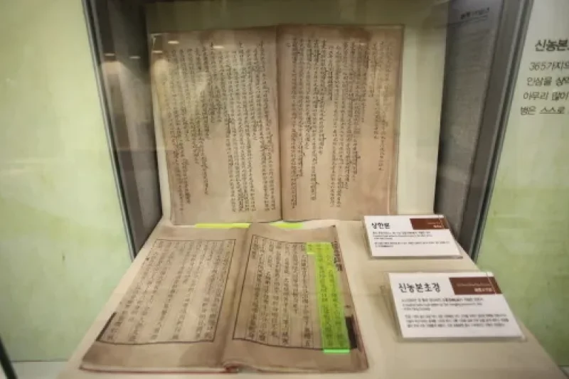 韓國人參公社高麗人參莊한국인삼공사 고려인삼창 (10/10)