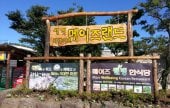 Maze Land