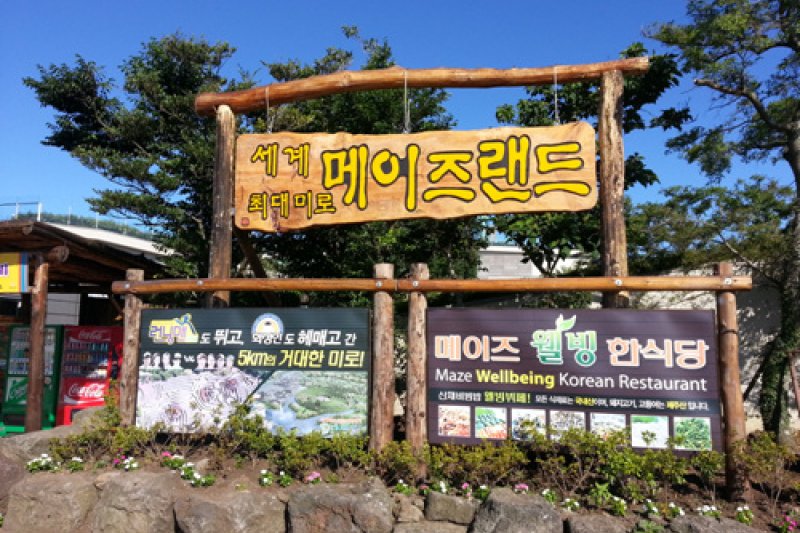 Maze Land (6/7)