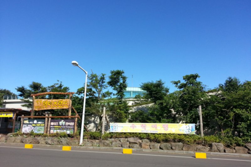 Maze Land (7/7)