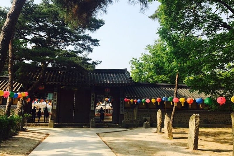 龍珠寺山寺體驗 (2/5)