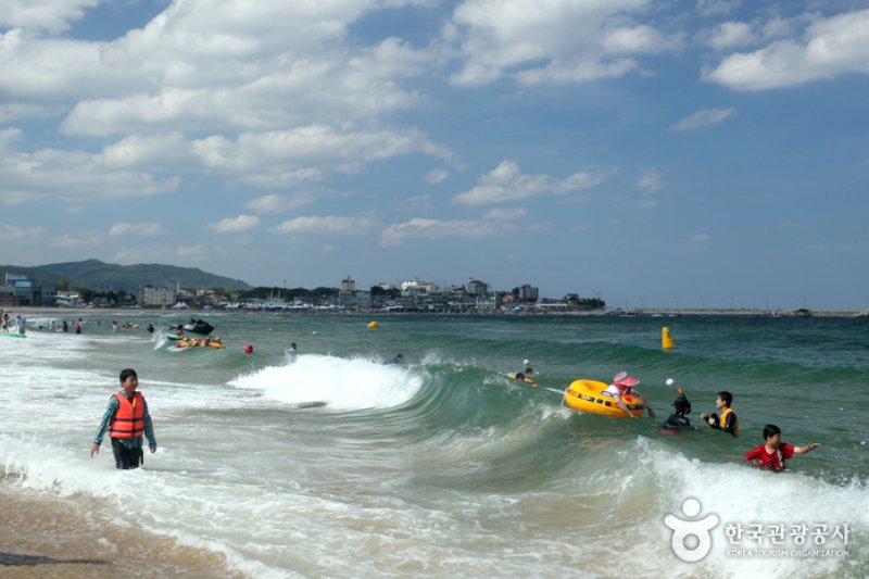 鯨魚角海水浴場  (15/16)