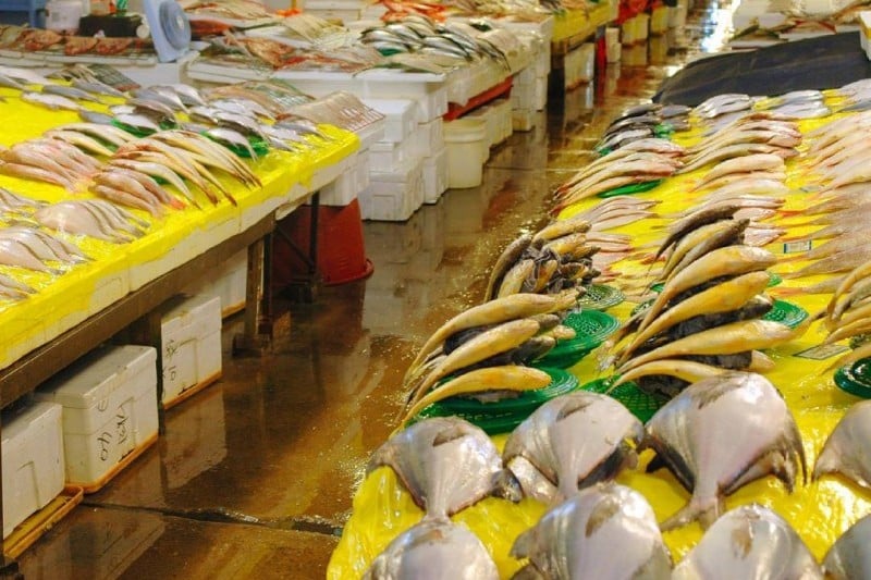 鷺梁津水産市場 (11/18)
