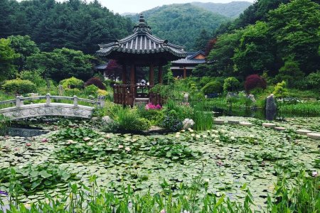 ★皇牌★南怡島一天團E