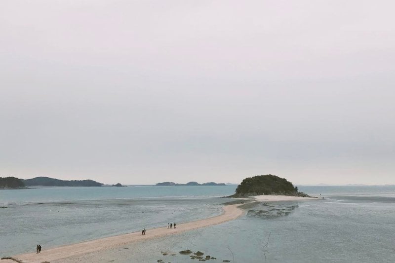 大阜島一天團 (11/12)