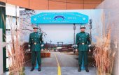 DMZ A團
