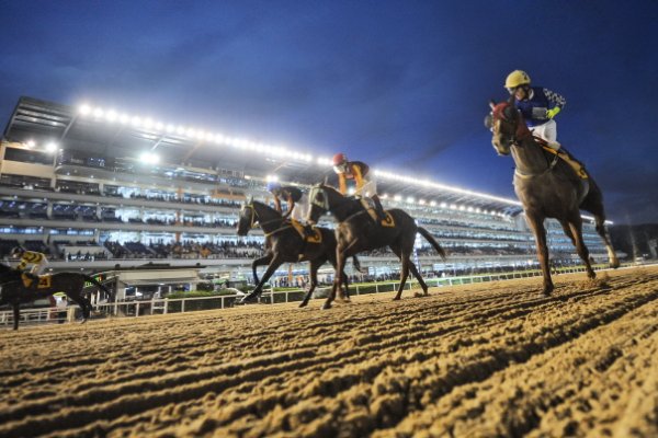 首爾LetsRun公園