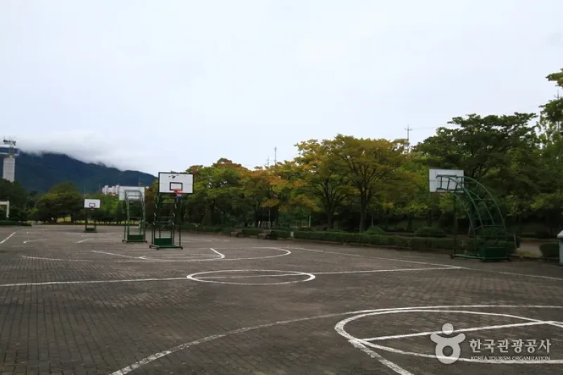 渼沙裏划艇賽場