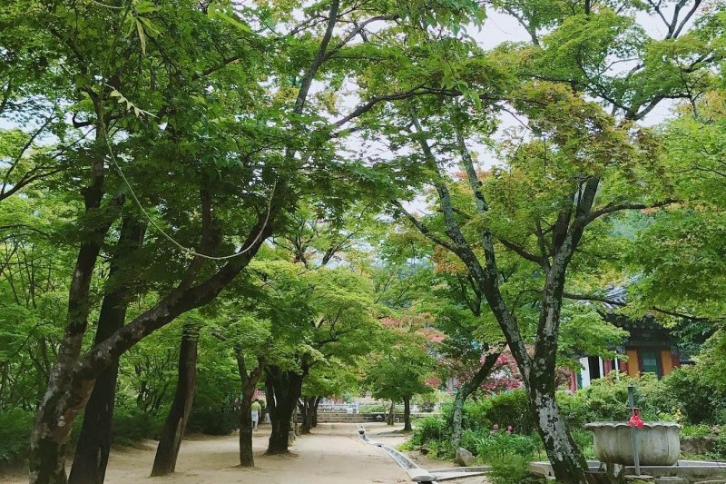 直指寺山寺體驗 (2/14)