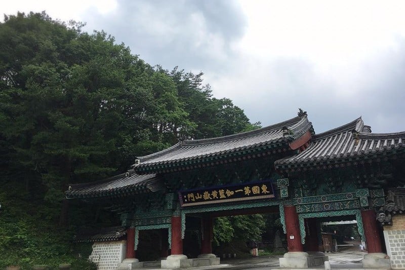直指寺山寺體驗 (4/14)