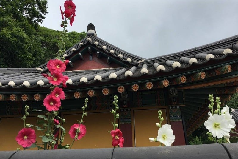 美黃寺山寺體驗 (6/11)