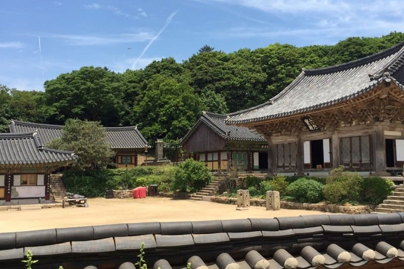 美黃寺山寺體驗 (10/11)