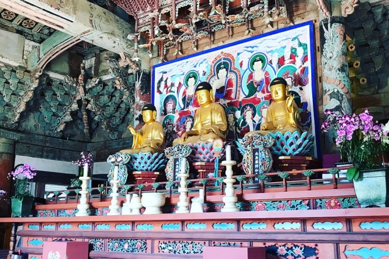 美黃寺山寺體驗 (11/11)
