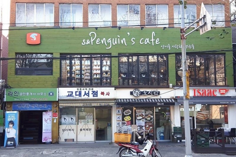 S&amp;Penguins cafe (8/8)