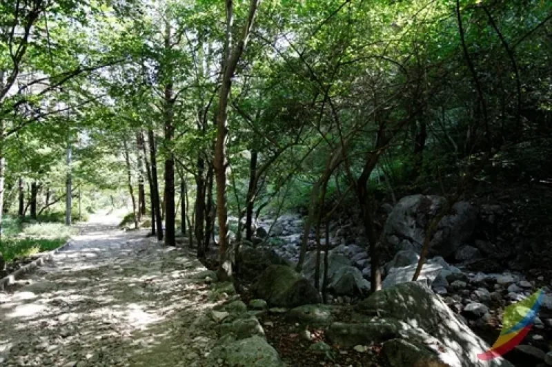母岳山道立公園