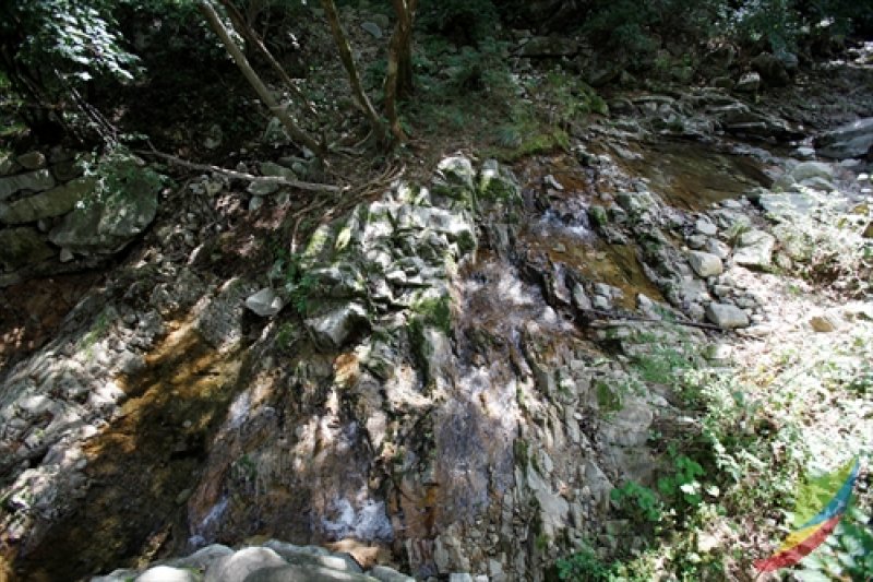 母岳山道立公園