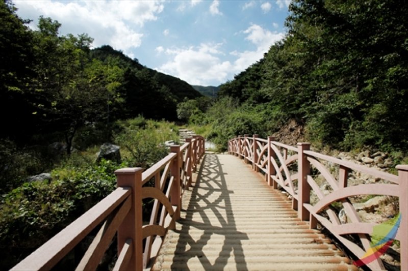 母岳山道立公園