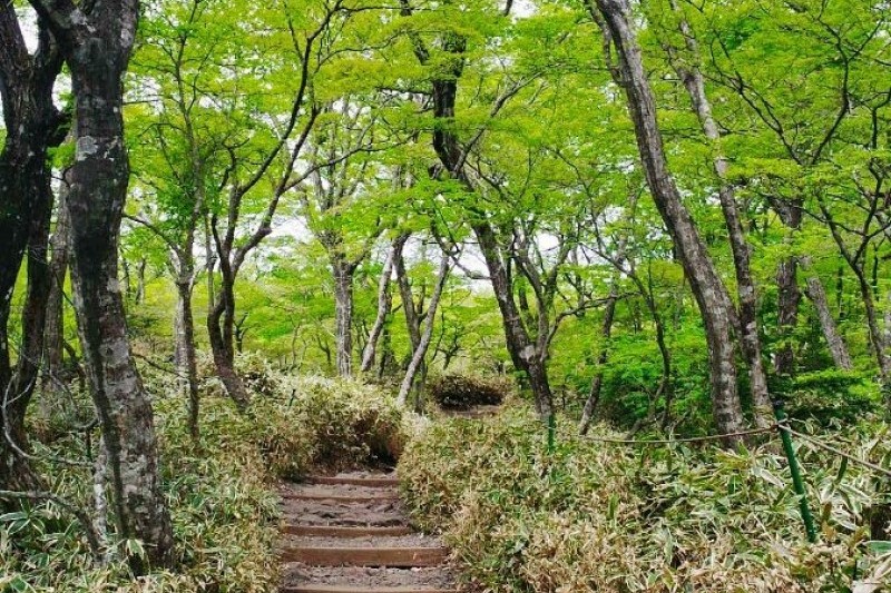 漢拏山城板嶽