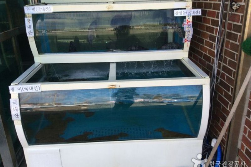 Cheonghae生魚片餐廳
