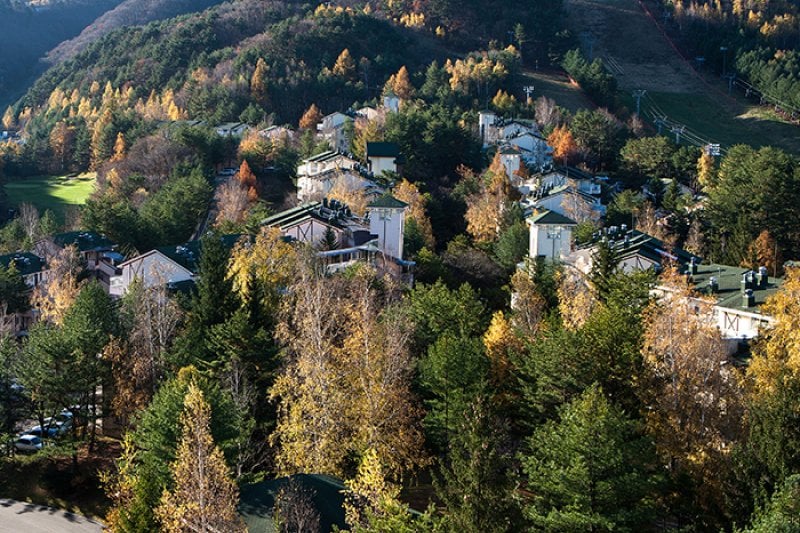 龍平villa渡假村 (4/5)