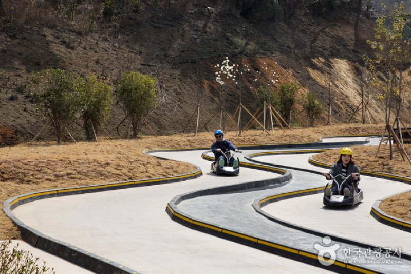 Skyline Luge(스카이라인 루지) (1/12)