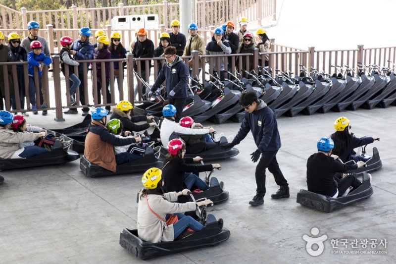 Skyline Luge(스카이라인 루지) (3/12)