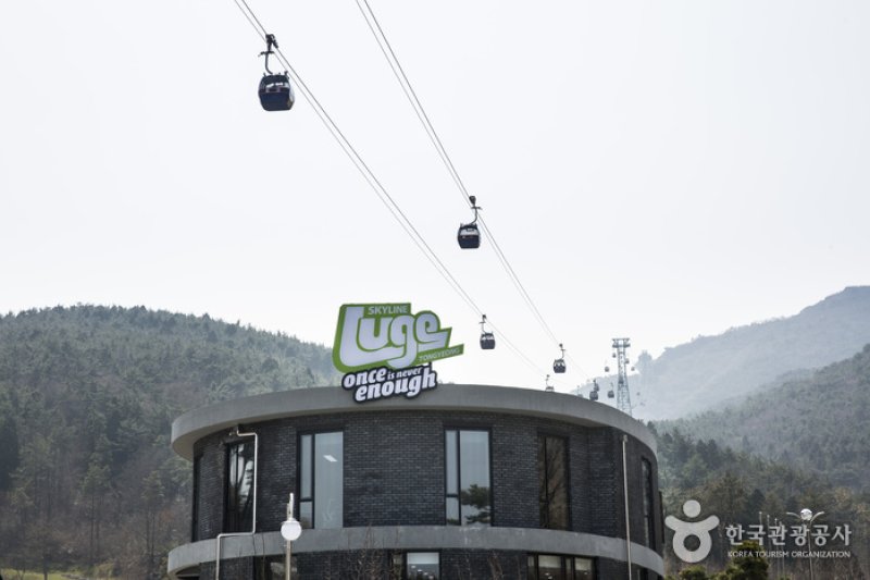 Skyline Luge(스카이라인 루지) (4/12)